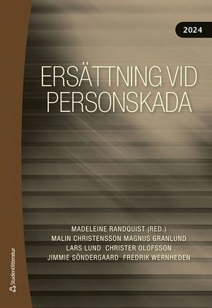 Ersättning vid personskada 2024