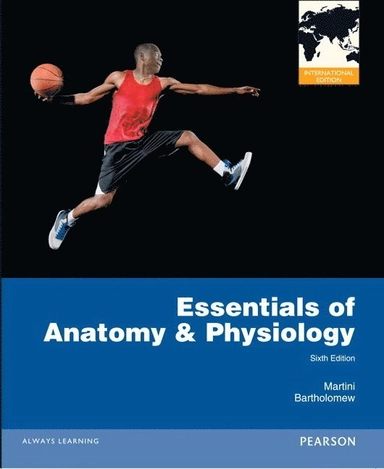 Essentials of anatomy & physiology; Frederic Martini, Edwin F. Bartholomew, William C. Ober; 2013