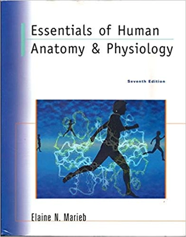 Essentials of Human Anatomy & Physiology