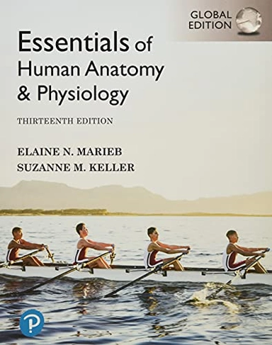 Essentials of human anatomy & physiology