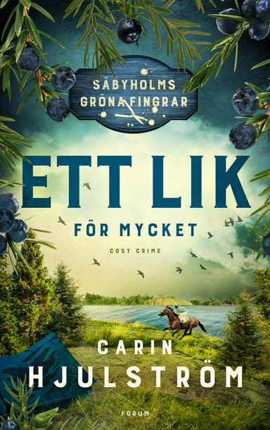Ett lik för mycket; Carin Hjulström; 2022