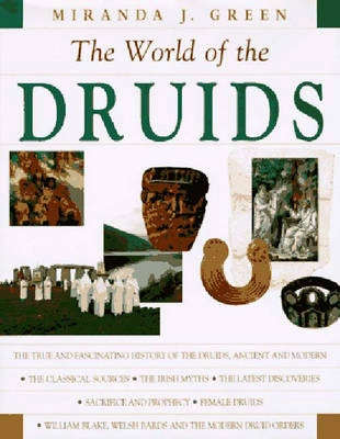 Exploring the world of the Druids; Miranda J. Green; 1997