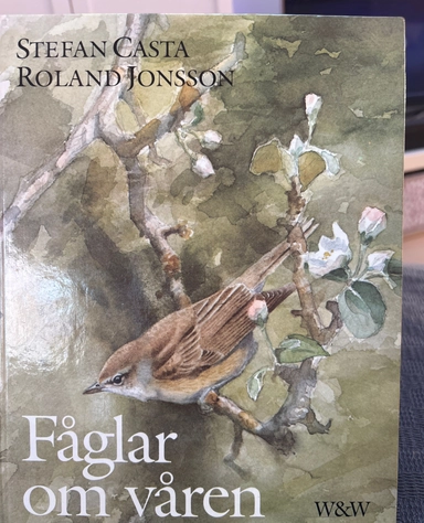 Fåglar om våren : våra vanligaste flyttfåglar mellan mars och midsommar; Stefan Casta; 1989