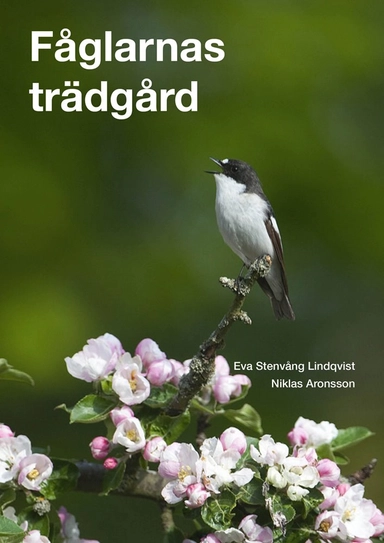 Fåglarnas trädgård; Niklas Aronsson, Eva Stenvång-Lindkvist; 2013
