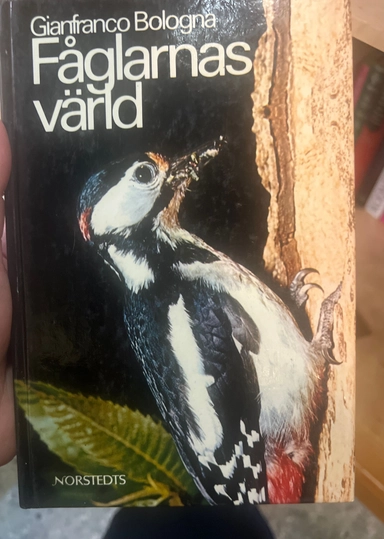 Fåglarnas värld; Gianfranco Bologna; 1979