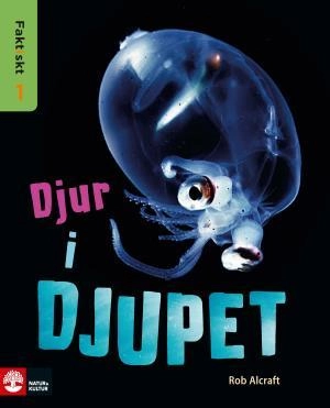 Faktiskt nivå 1 Vem äter vem?