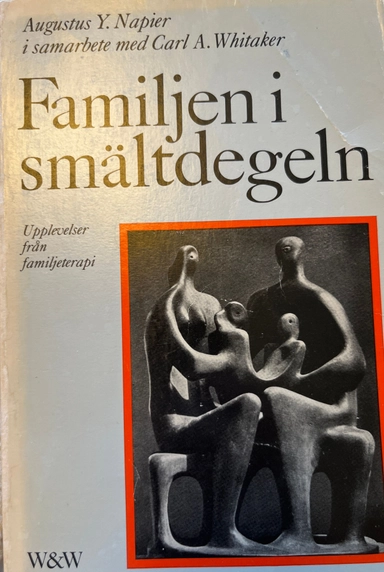 Familjen i smältdegeln : upplevelser från familjeterapi; Augustus Y. Napier; 1979