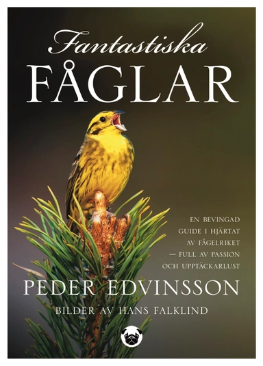 Fantastiska fåglar : en bevingad guide i hjärtat av fågelriket - full av passion och upptäckarlust; Peder Edvinsson; 2021