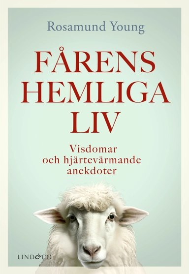 Fårens hemliga liv : visdomar och hjärtevärmande anekdoter; Rosamund Young; 2024