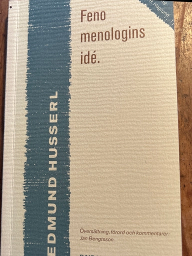 Fenomenologins idé