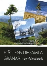 Fjällens urgamla granar
