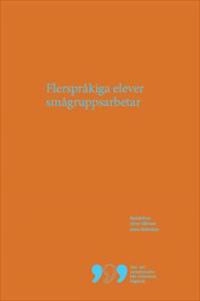 Flerspråkiga elever smågruppsarbetar