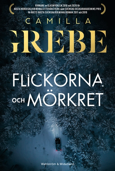 Flickorna och Mörkret; Camilla Grebe; 2024