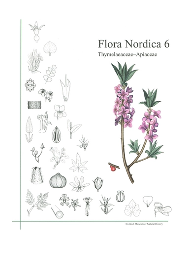 Flora Nordica 6
