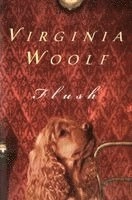 Flush : a biography; Virginia Woolf; 1983