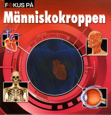 Fokus på människokroppen; Malin Barthelson; 2013