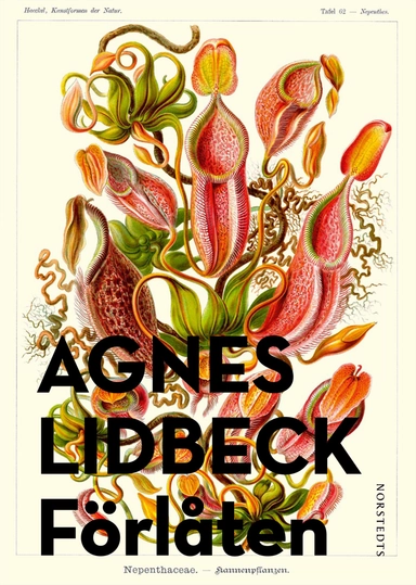 Förlåten; Agnes Lidbeck; 2018