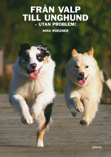 Från valp till unghund : utan problem!; Nina Roegner; 2007