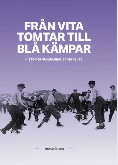 Från Vita tomtar till Blå kämpar : historier om Mölndals Bandyklubb
