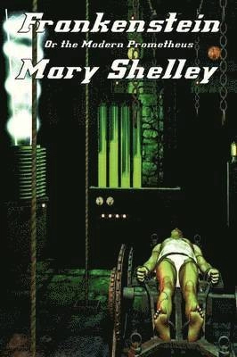 Frankenstein; Mary Shelley; 2013