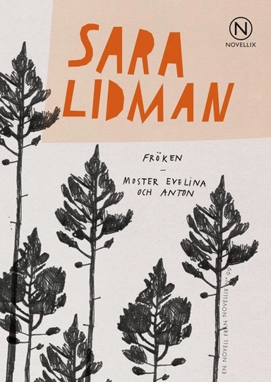 Fröken ; Moster Evelina och Anton; Sara Lidman; 2017