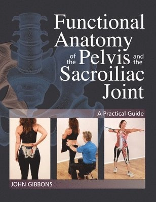 Functional Anatomy of the Pelvis and the Sacroiliac Joint; John Gibbons; 1900