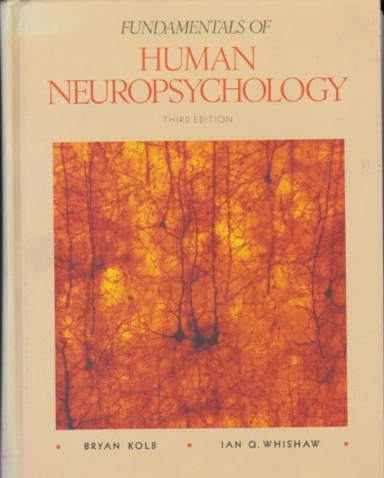 Fundamentals of human neuropsychology