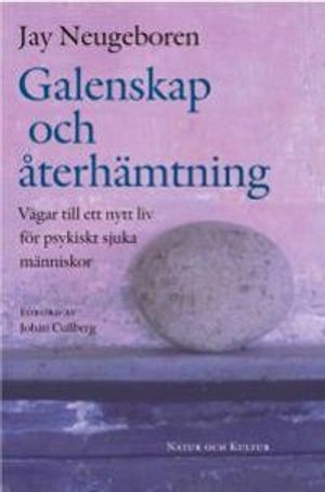 Galenskap och återhämtning : Vägar till ett nytt liv för psykiskt sjuka människor