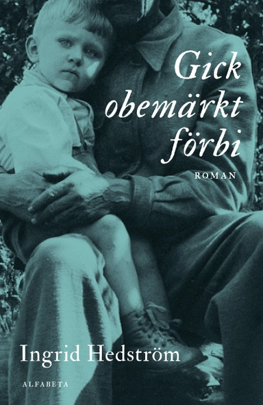 Gick obemärkt förbi; Ingrid Hedström; 2017