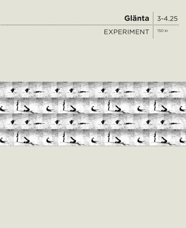 Glänta 3-4 (2025) Experiment