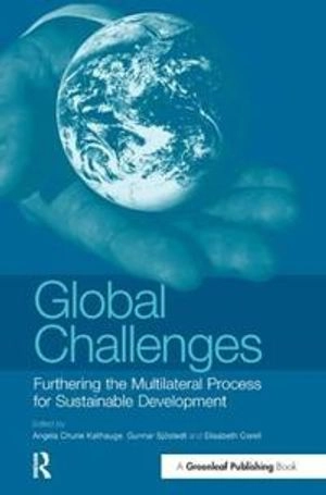Global challenges : furthering the multilateral process for sustainable development; Angela Churie Kallhauge; 2005