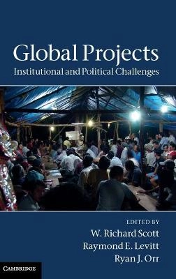 Global projects : institutional and political challenges
