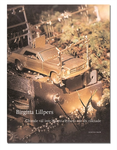 Glömde väl inte ljusets element när du räknade; Birgitta Lillpers; 2004