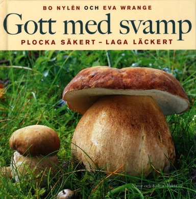 Gott med svamp : Plocka säkert - Laga läckert