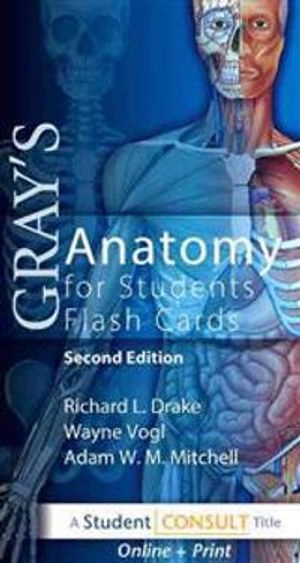 Gray's Anatomy for Students Flash Cards; Drake Richard, Vogl A. Wayne, Mitchell Adam W. M.; 2009