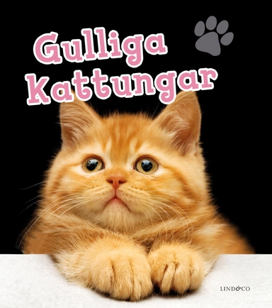 Gulliga kattungar; Harriet Stone; 2018