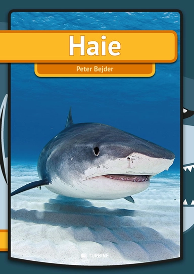 Haie; Peter Bejder; 2018