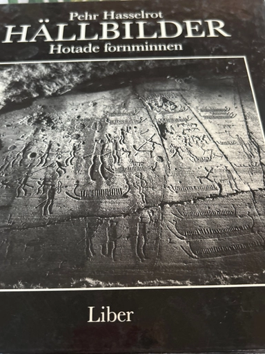 Hällbilder : hotade fornminnen; Pehr Hasselrot; 1984