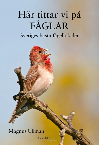 Här tittar vi på fåglar : Sveriges bästa fågellokaler; Magnus Ullman; 2014
