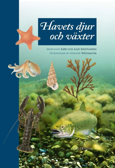 Havets djur och växter; Aase Kristiansen, Susanne Weitemeyer; 2018