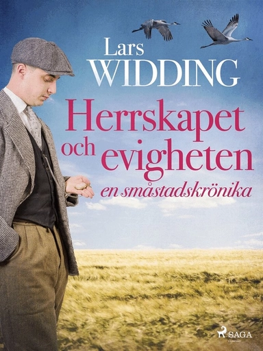 Herrskapet och evigheten : en småstadskrönika; Lars Widding; 2019