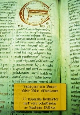 Hildegard von Bingen: Liber vitae meritorum : 35 kosmiska livskrafter mot våra belastningar; Ingeborg Vatheur; 2010
