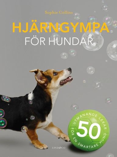 Hjärngympa för hundar; Sophie Collins; 2020