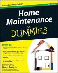 Home Maintenance For Dummies 