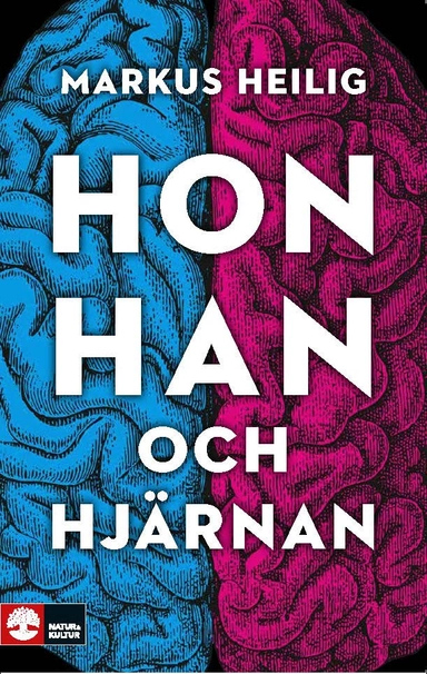 Hon, han och hjärnan; Heilig Markus; 2018