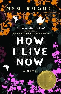 How I live now : a novel