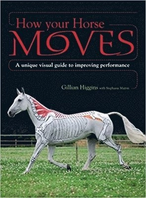 How your horse moves : a unique visual guide to improving performance; Gillian Higgins; 2009