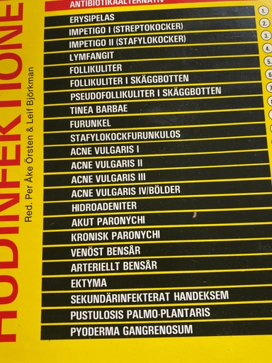 Hudinfektioner; Leif Björkman, Per Åke Örsten; 1985