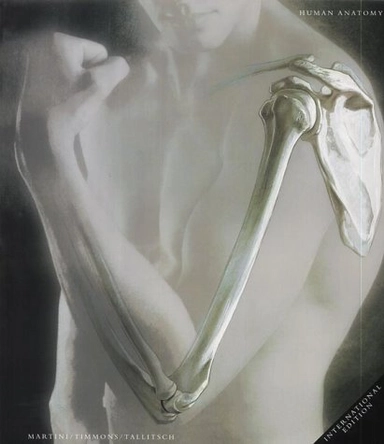 Human anatomy; Frederic Martini; 2003