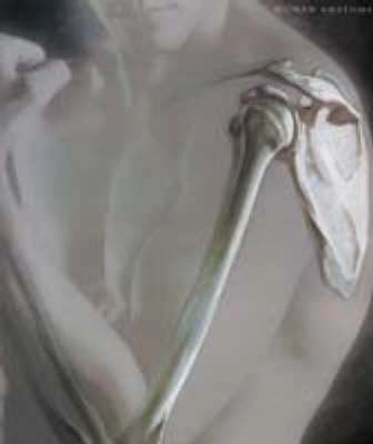Human anatomy